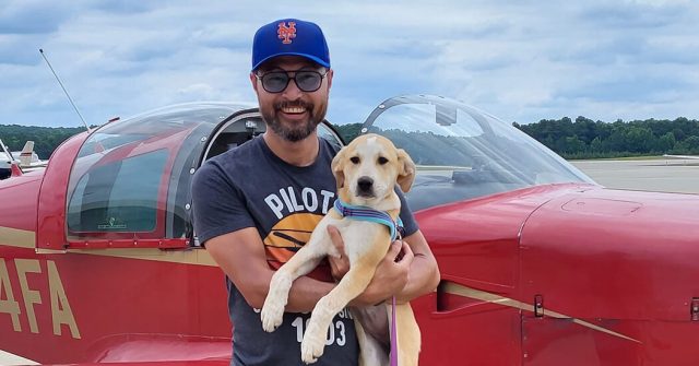 He’d Flown Hundreds of Dogs Out of Danger. He Wanted to ‘Save One More.’