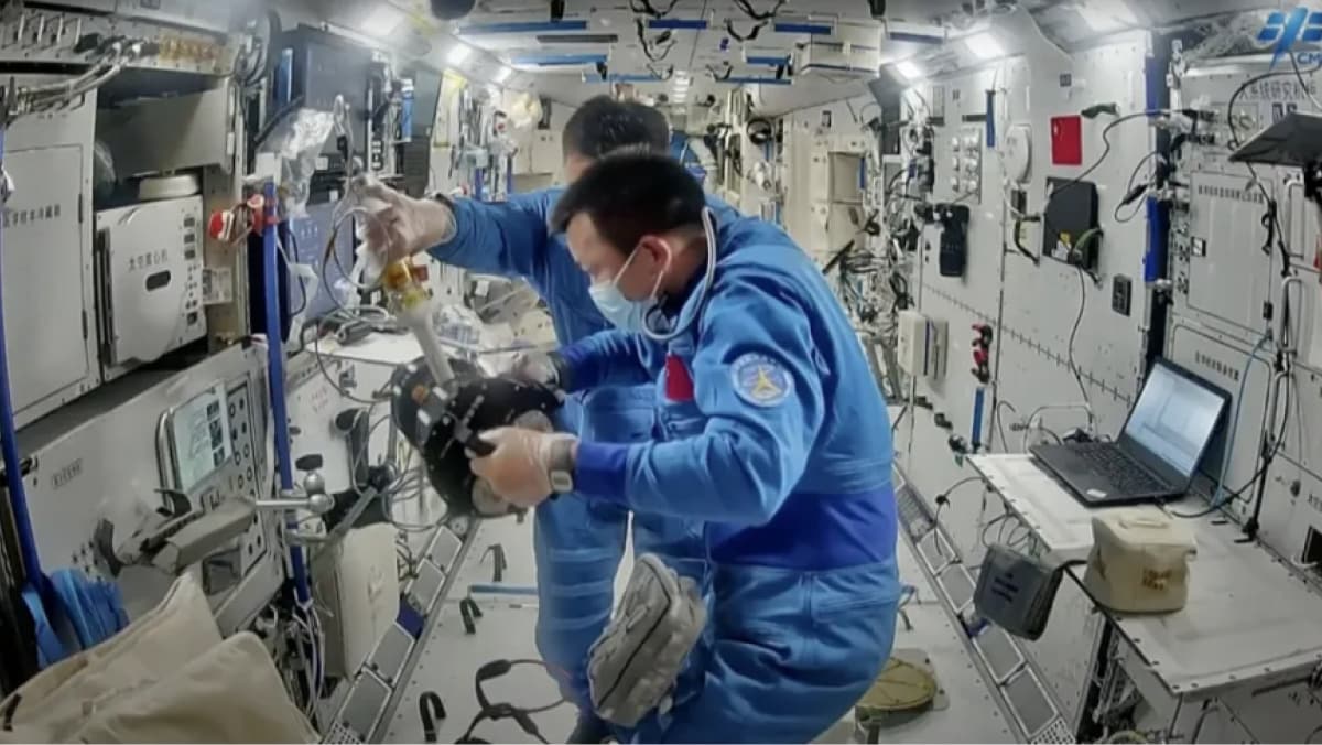 Fruit Fly Experiment on Tiangong Space Station Explores Effects of Microgravity