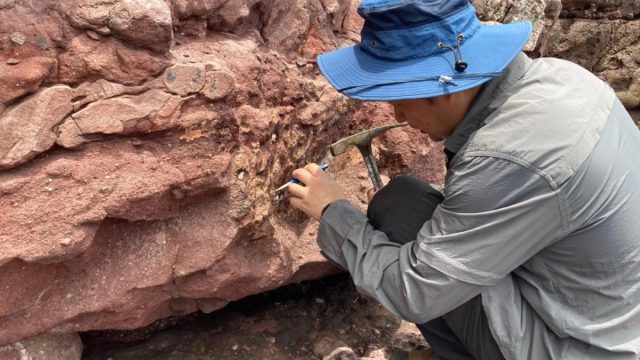 Historic Dinosaur Fossil Discovered in Hong Kong’s UNESCO Geopark