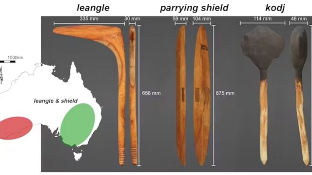 New Study Unveils Deadly Power and Precision of Indigenous Australian Weapons Kodj and Leangle