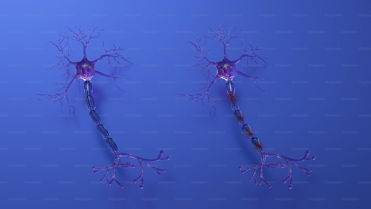 Researchers Develop Cell-Level Wearable Devices to Restore Neuron Function