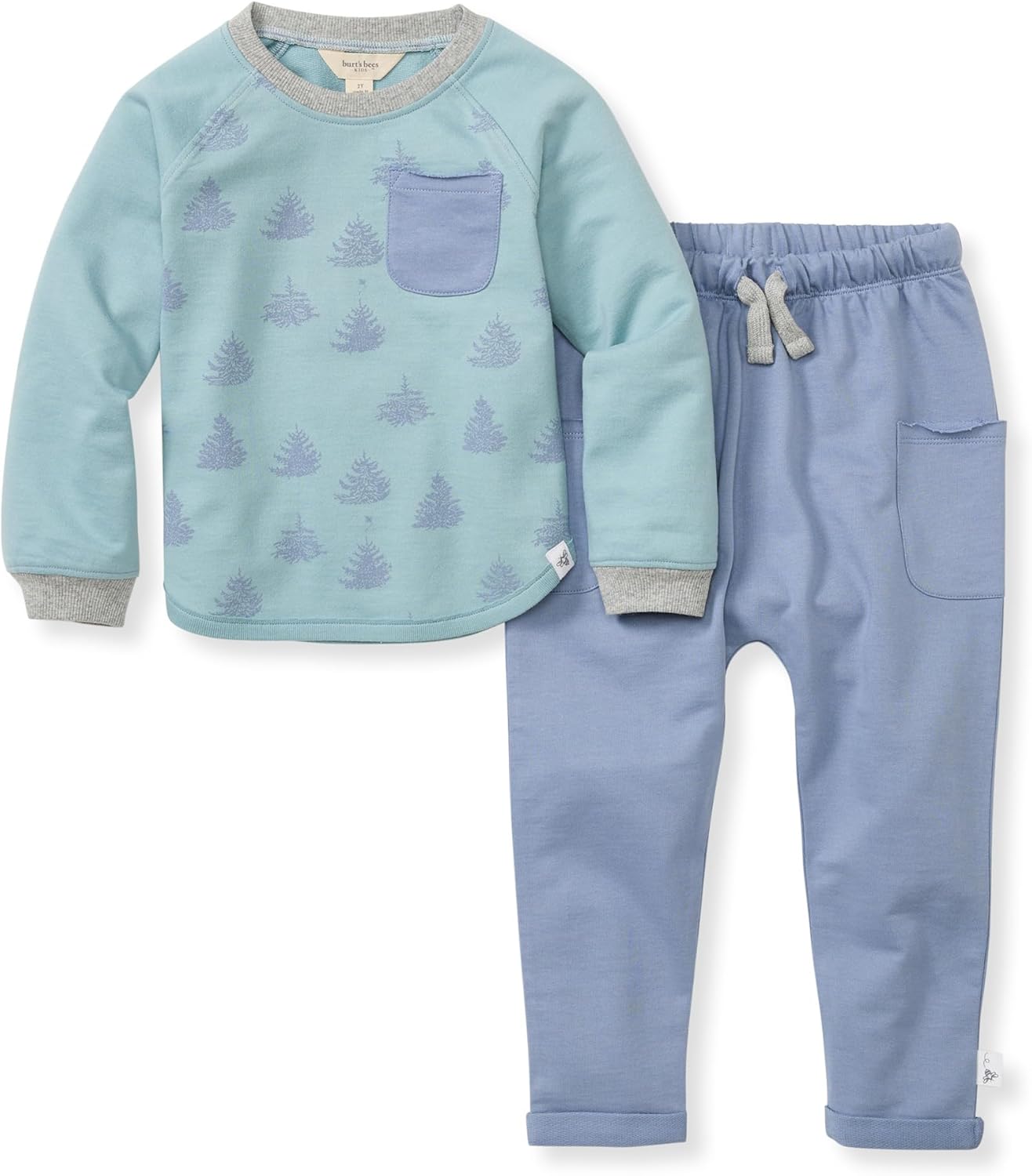 Burt’s Bees Baby Baby Boys’ Shirt and Pant Set, Top & Bottom Outfit Bundle