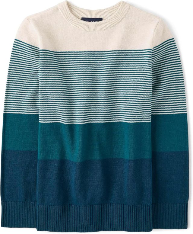 The Children’s Place Big Boys’ Kid Long Sleeve Sweater