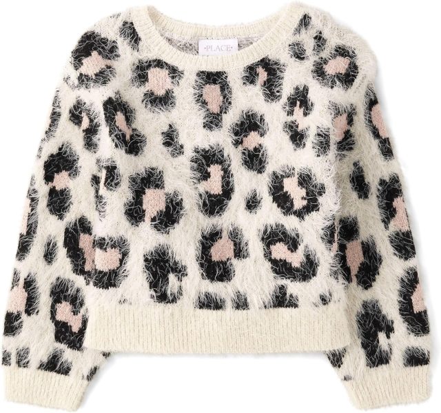 The Children’s Place Girls’ Long Sleeve Crew Neck Pullover Sweater