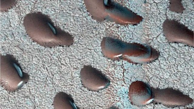 Mars Satellite Images Reveal Giant ‘Kidney Beans,’ Sparking Hints of Water and Life