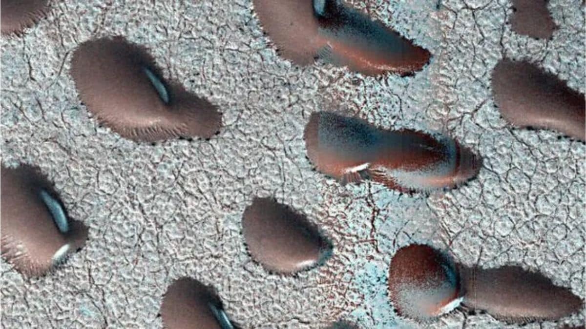 Mars Satellite Images Reveal Giant ‘Kidney Beans,’ Sparking Hints of Water and Life