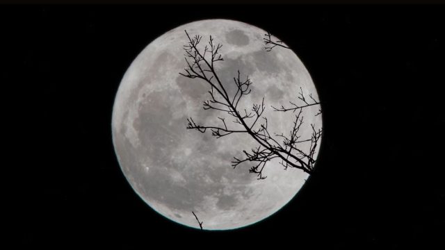 Wolf Moon on January 13, 2025: Explore What to Expect in the Sky