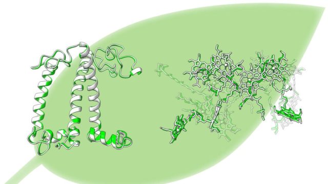 Scientists Reveals New Method to Analyse 3D Structure of Artificial Photosynthetic Antenna