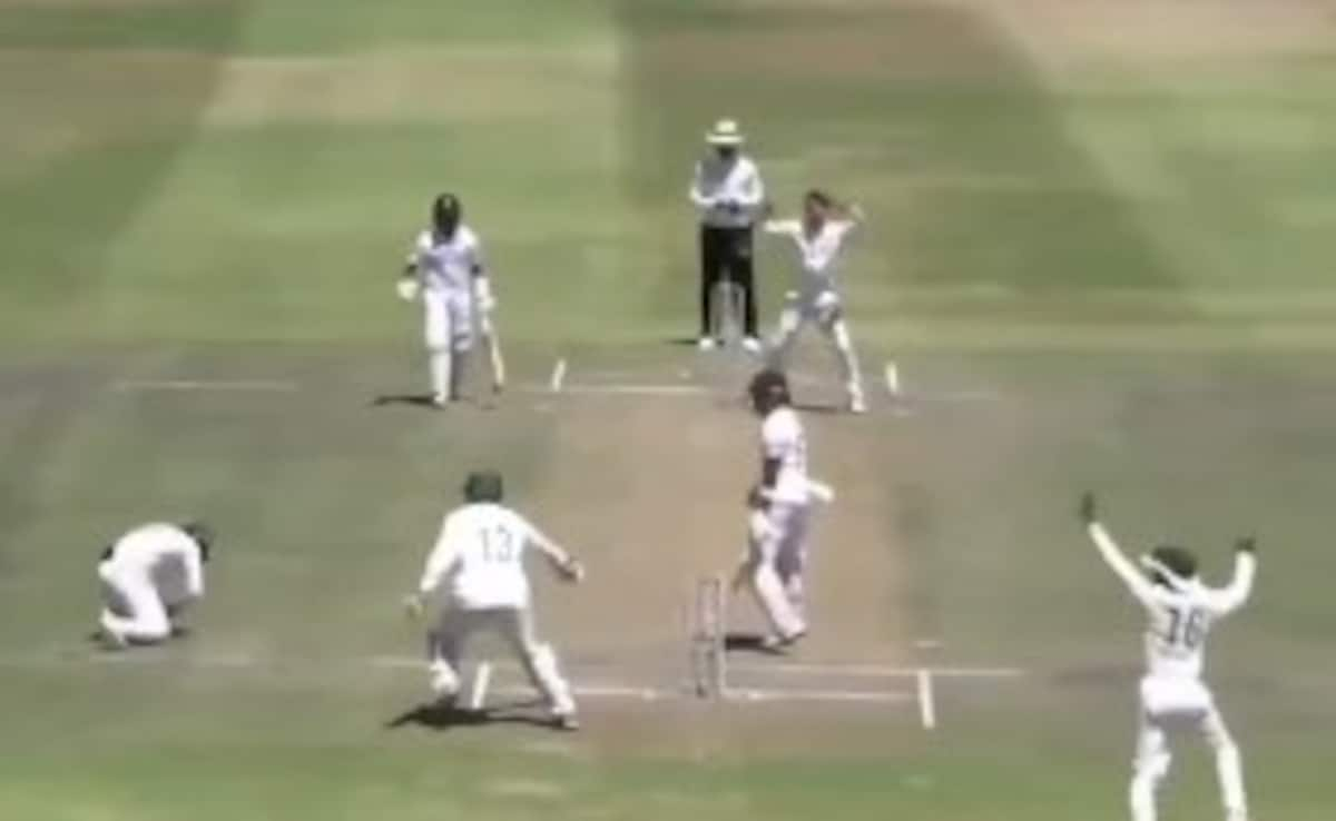 Batter Gets Run Out In Bizarre Way, Fans Call It ‘Unluckiest Dismissal’ Of 2025. Watch