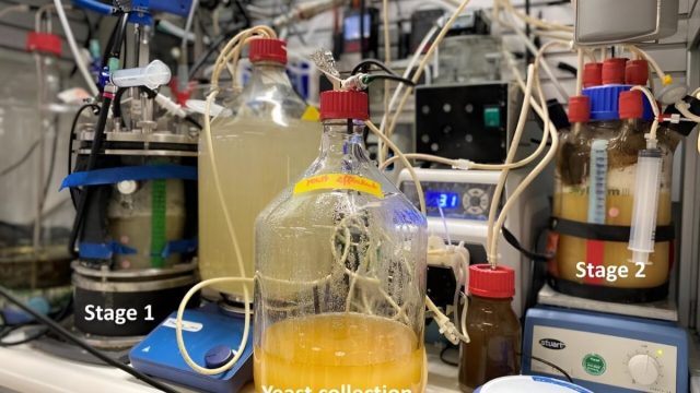 New Dual-Reactor Tech Turns CO2 Into Protein for Food and Sustainability