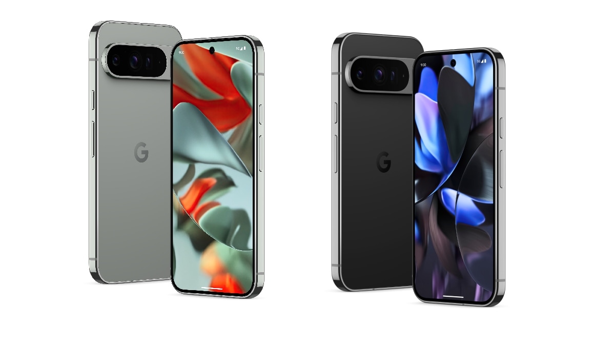 Google Pixel 11, Pixel 11 Pro and Pixel 11 Pro Fold Will Reportedly Have Bear-Themed Codenames