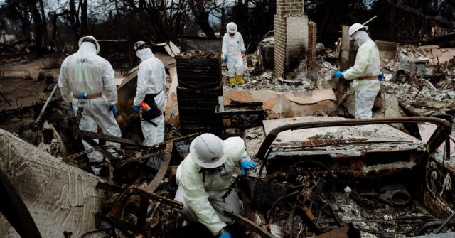 After the Los Angeles Fires, Cleanup Is Occurring in Stages