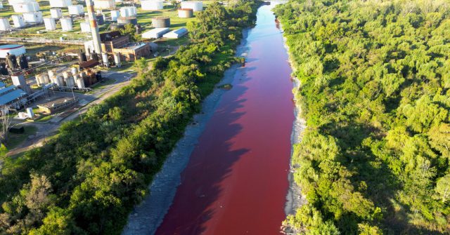 Stream Near Buenos Aires Turns Red, ‘Like a River Covered in Blood’