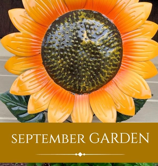 A GUIDE TO NORTHEASTERN GARDENING: Garden Bloggers’ Bloom Day & Foliage Follow-Up September: The Changing Garden