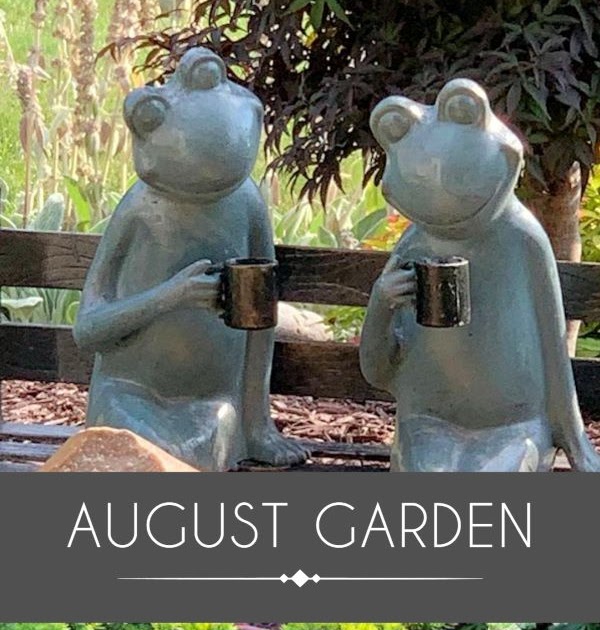 Late Summer Garden Views & News!