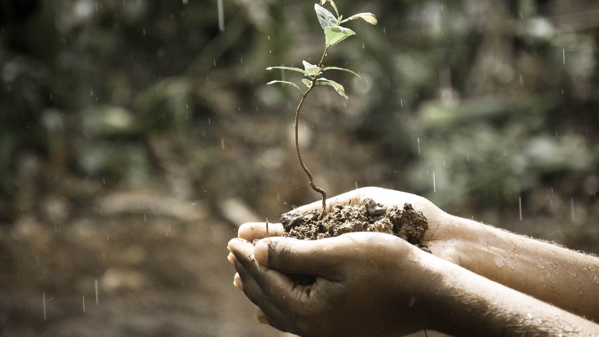 How Rainwater Helped Stabilise Early Cells, Enabling Life’s Complexity on Earth