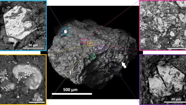 Phosphorus Grains in Ryugu Samples Offer Insights into Earth’s Early Life Chemistry