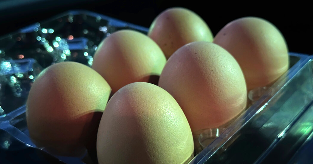 Are Eggs Safe to Eat as Bird Flu Spreads?