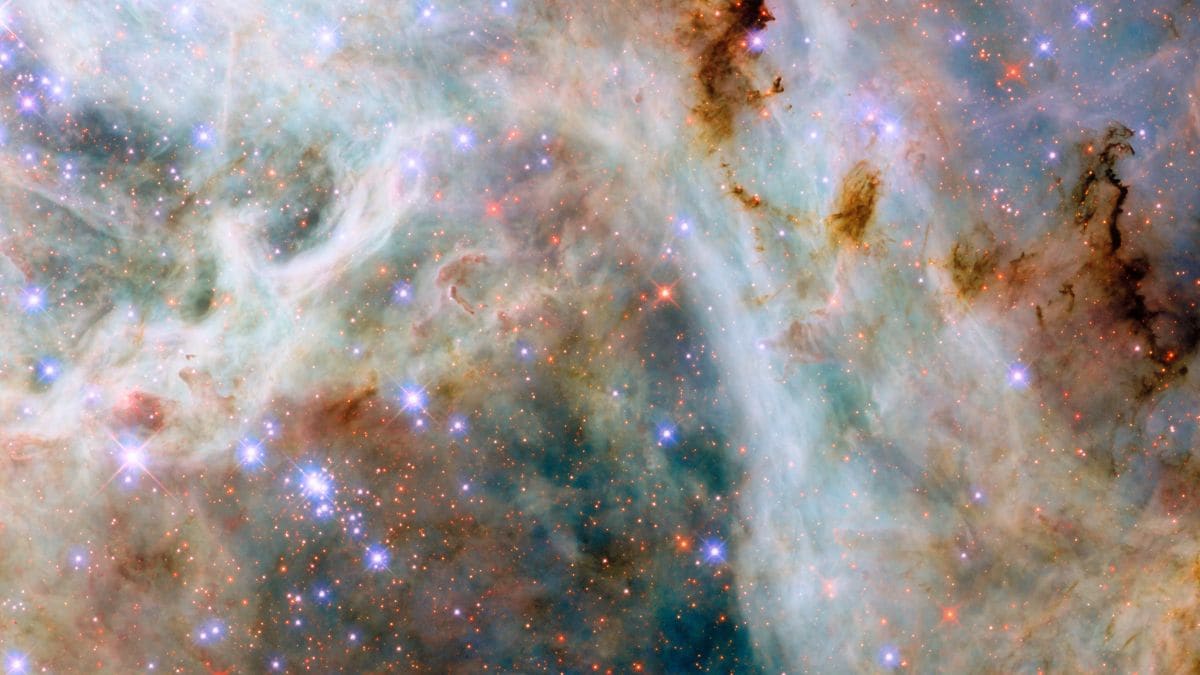 Hubble Captures Stunning Tarantula Nebula Image, Revealing Cosmic Dust and Star Formation