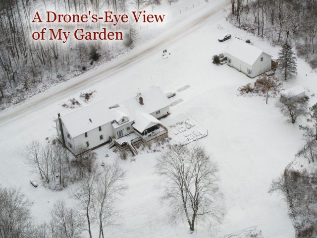 A Drone’s-Eye View Of My Garden