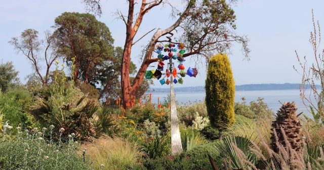 Puget Sound Garden Fling: Brindley Garden