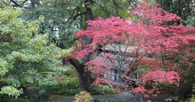 The Miller Botanical Garden in Autumn