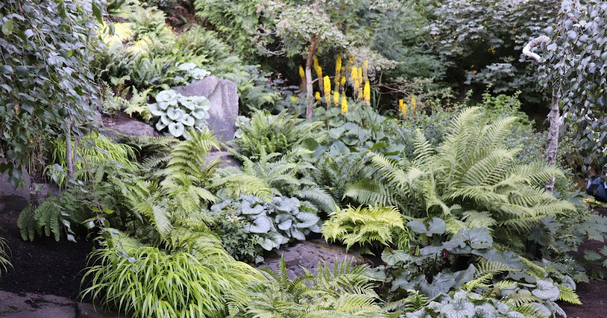 Puget Sound Garden Fling: The Gray Garden