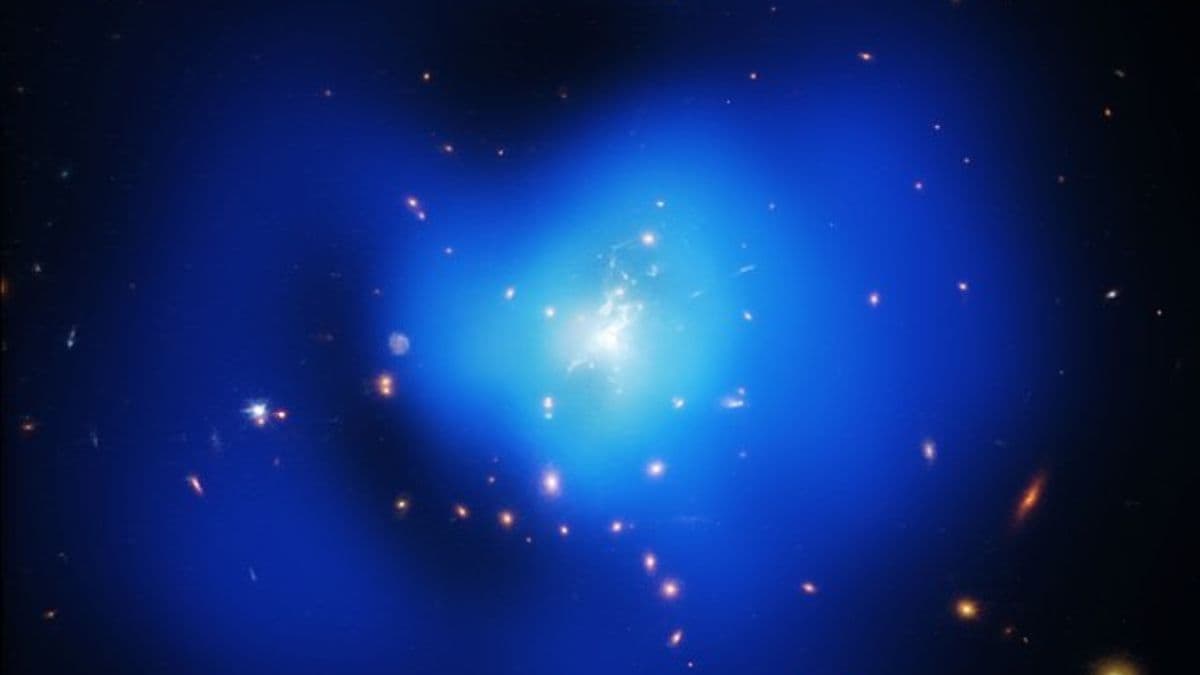 JWST Identifies Cooling Gas in Phoenix Cluster, Unlocking Star Formation Process