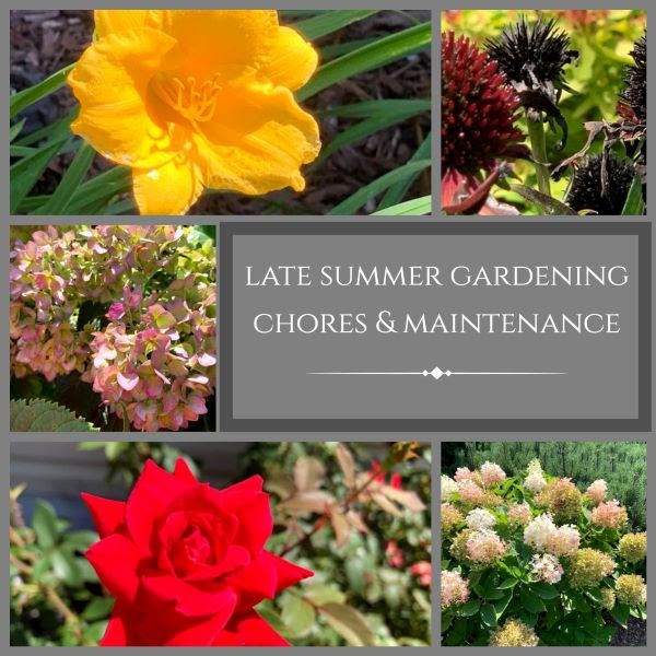 Late Summer Gardening Chores and Maintenance