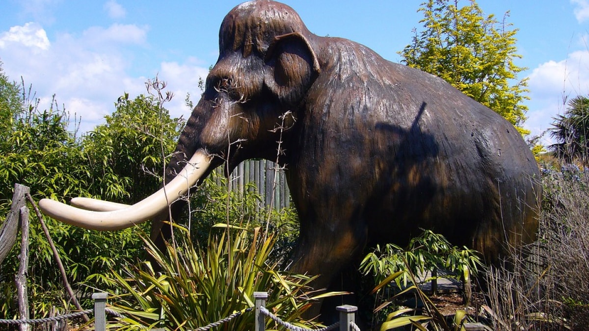 Did Pollen Allergies Cause Woolly Mammoths’ Extinction? New Study Proposes a Surprising Theory