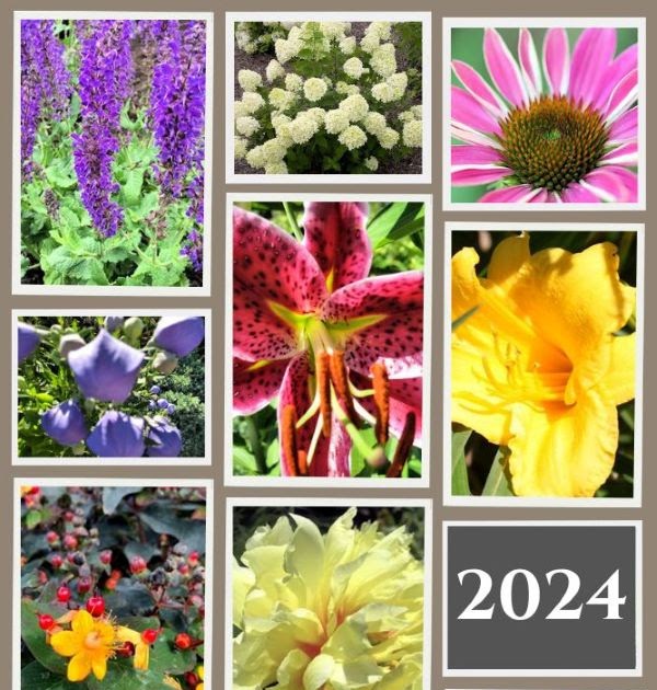 Happy New Year and 2024 Garden Year in Review!