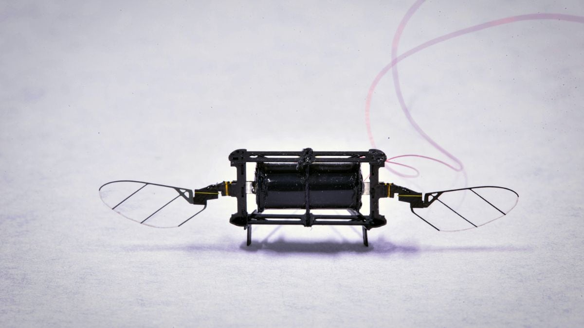 MIT Develops Tiny Robotic Insect Drones with 100x Longer Flight Time Than Before