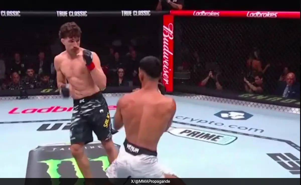 Anshul Jubli, Only Indian Fighter In UFC, Gets Knocked Out In 19 Seconds. Video