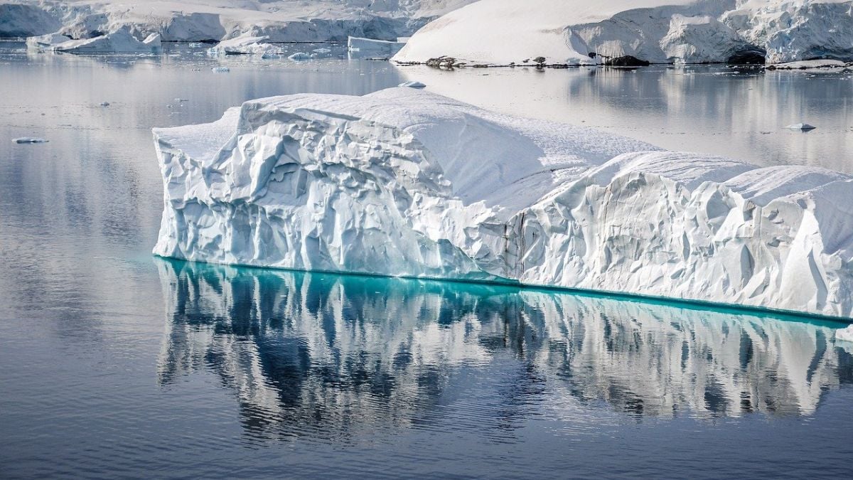 World’s Largest Iceberg A23a Grounds Near South Georgia, Raising Wildlife and Environmental Concerns