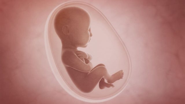 World’s First Baby Born Through Fully Automated, Remotely Operated IVF Procedure