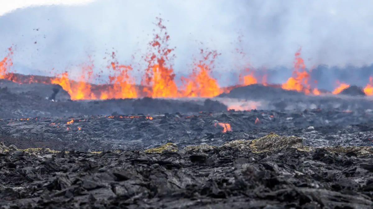 Lava Breaches Grindavík’s Defences as Volcanic Fissure Erupts in Iceland