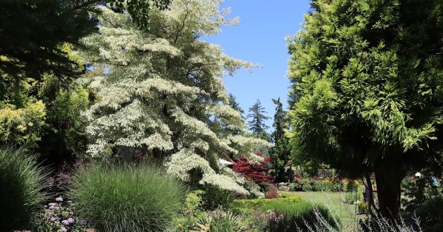 Puget Sound Garden Fling: Froggsong Gardens