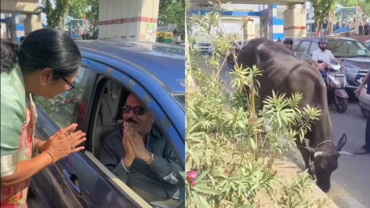 Delhi CM Rekha Gupta Stops Convoy After Seeing Man Feeding Stray Cow On Busy Road. This Happens Next