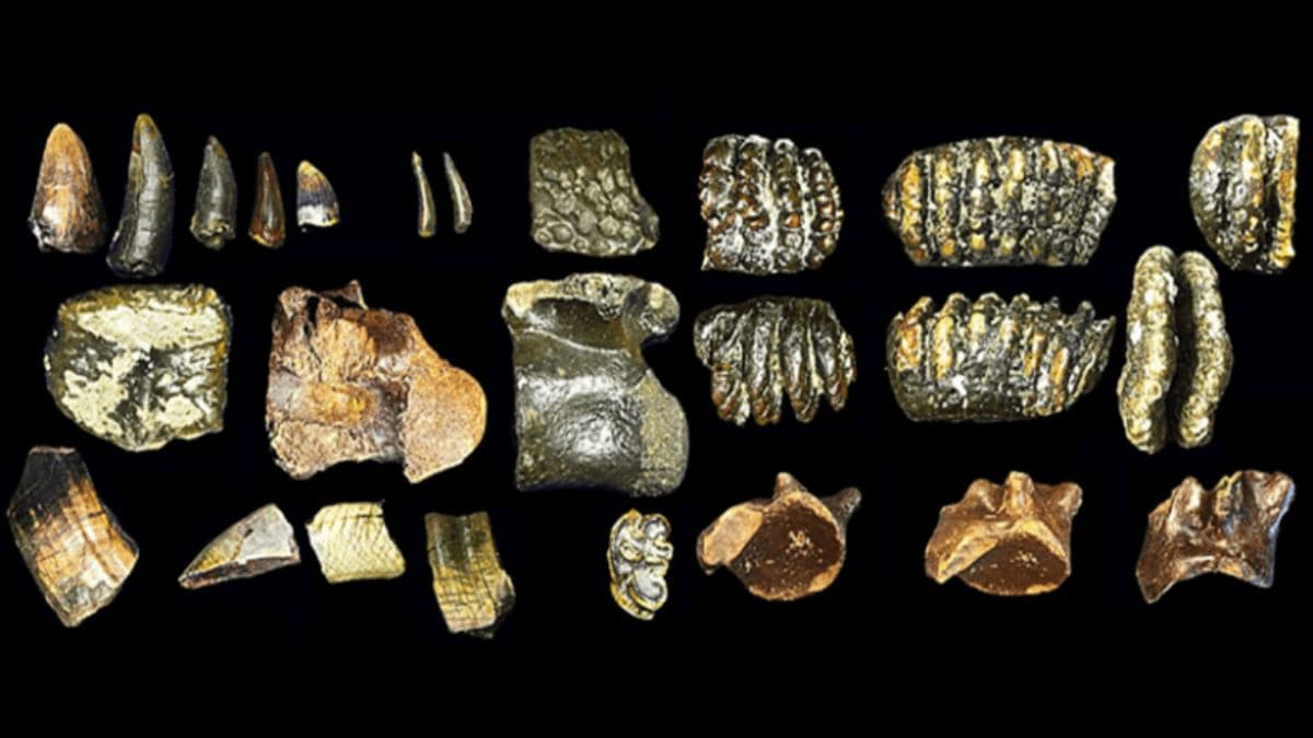 800-Year-Old Mummy Reveals Unusual Facial Tattoos Made from Rare Minerals