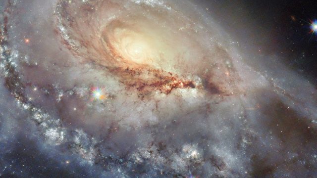 Hubble Captures Stunning Image of Peculiar Spiral Galaxy Arp 184 in Camelopardalis