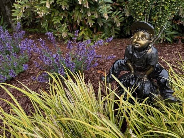A Fragrant Herb with Medicinal Value and Garden Charm