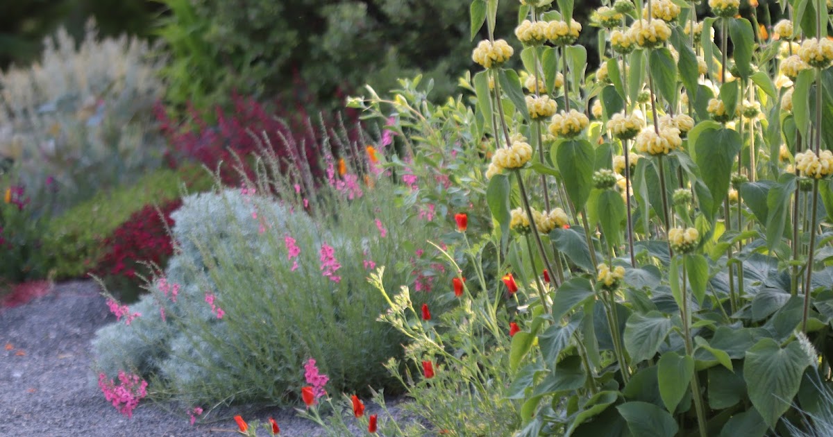 Early June at Chickadee Gardens