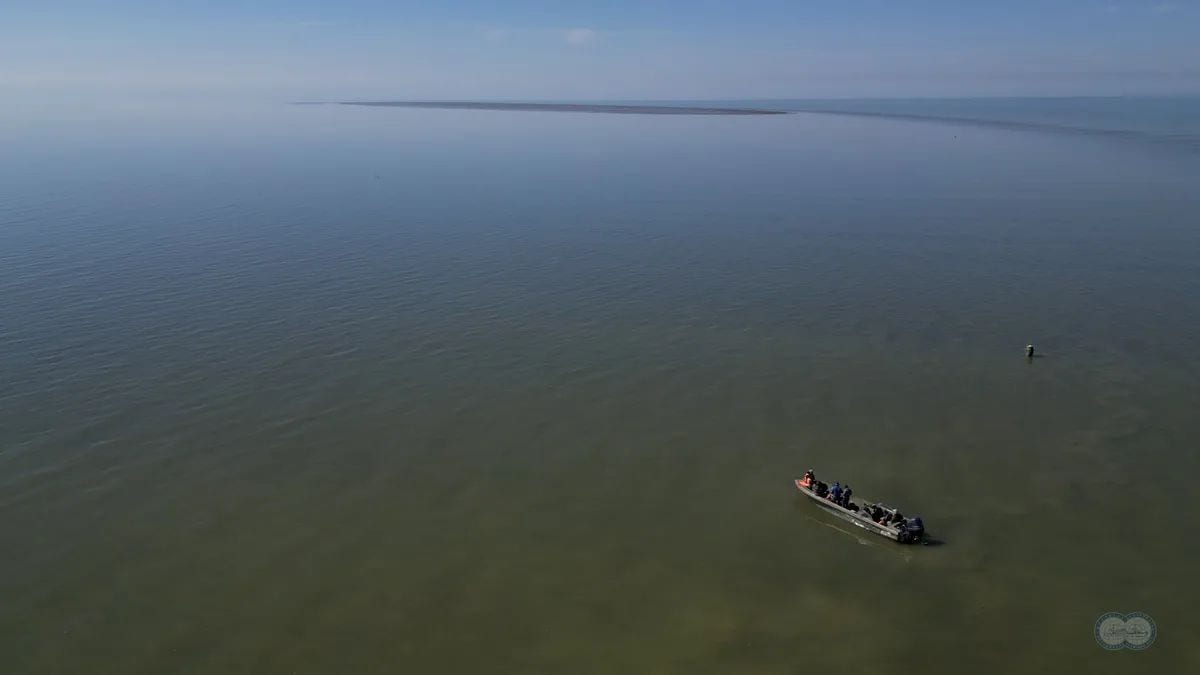 New Island Forms in Caspian Sea as Water Levels Drop, Russian Scientists Confirm
